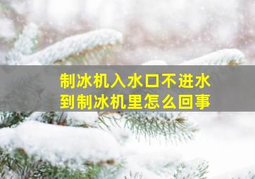 制冰机入水口不进水到制冰机里怎么回事