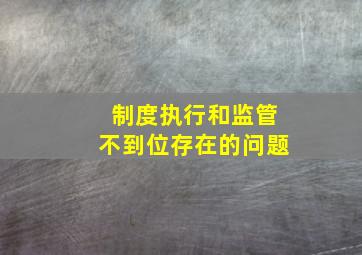 制度执行和监管不到位存在的问题