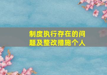 制度执行存在的问题及整改措施个人