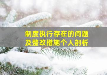 制度执行存在的问题及整改措施个人剖析