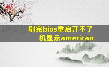 刷完bios重启开不了机显示american