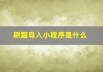 刷题导入小程序是什么