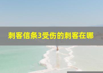 刺客信条3受伤的刺客在哪