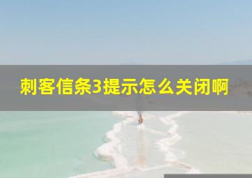 刺客信条3提示怎么关闭啊