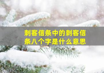 刺客信条中的刺客信条八个字是什么意思