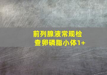 前列腺液常规检查卵磷脂小体1+