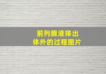 前列腺液排出体外的过程图片