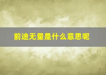 前途无量是什么意思呢