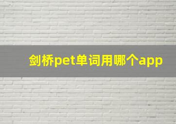 剑桥pet单词用哪个app