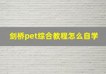 剑桥pet综合教程怎么自学