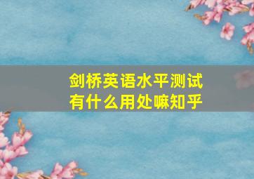 剑桥英语水平测试有什么用处嘛知乎