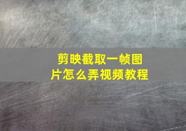 剪映截取一帧图片怎么弄视频教程