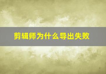 剪辑师为什么导出失败