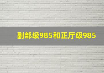 副部级985和正厅级985