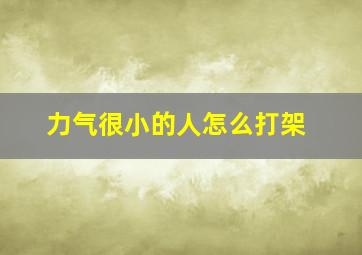 力气很小的人怎么打架