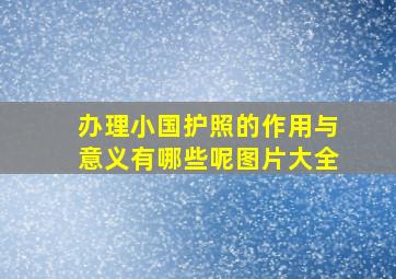 办理小国护照的作用与意义有哪些呢图片大全