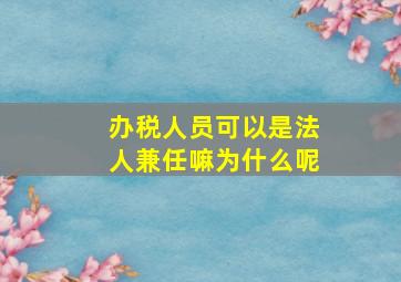 办税人员可以是法人兼任嘛为什么呢