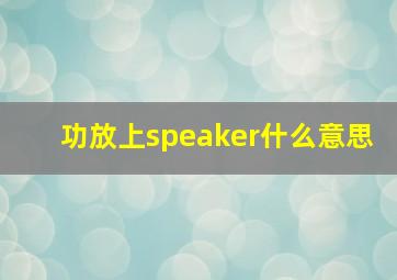 功放上speaker什么意思