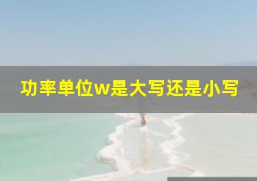 功率单位w是大写还是小写