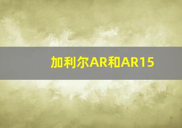 加利尔AR和AR15