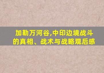 加勒万河谷,中印边境战斗的真相、战术与战略观后感