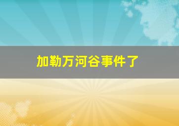 加勒万河谷事件了