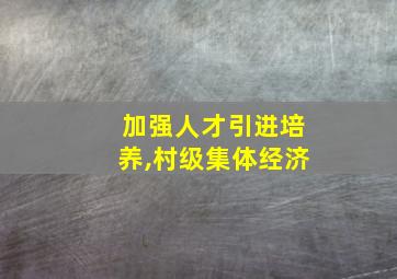 加强人才引进培养,村级集体经济