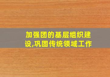 加强团的基层组织建设,巩固传统领域工作