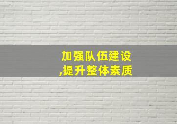 加强队伍建设,提升整体素质