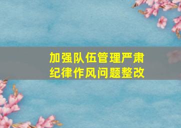 加强队伍管理严肃纪律作风问题整改