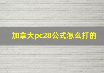 加拿大pc28公式怎么打的