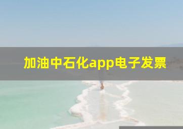 加油中石化app电子发票