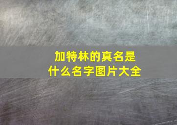 加特林的真名是什么名字图片大全