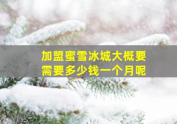 加盟蜜雪冰城大概要需要多少钱一个月呢