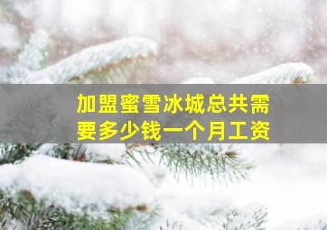 加盟蜜雪冰城总共需要多少钱一个月工资