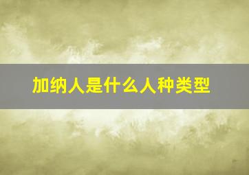 加纳人是什么人种类型