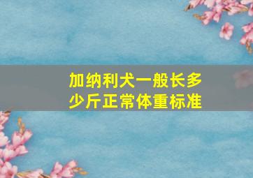 加纳利犬一般长多少斤正常体重标准