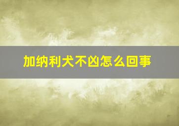 加纳利犬不凶怎么回事