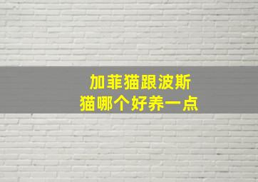 加菲猫跟波斯猫哪个好养一点