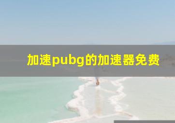 加速pubg的加速器免费