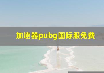 加速器pubg国际服免费