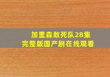 加里森敢死队28集完整版国产剧在线观看