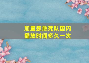 加里森敢死队国内播放时间多久一次