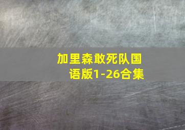 加里森敢死队国语版1-26合集