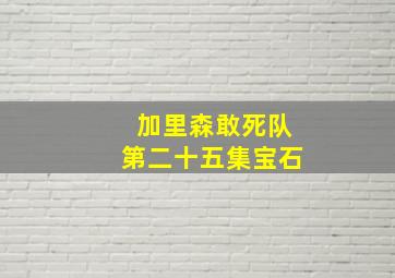 加里森敢死队第二十五集宝石