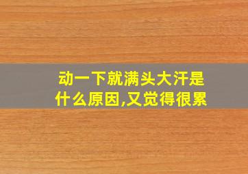 动一下就满头大汗是什么原因,又觉得很累