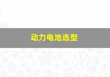 动力电池选型