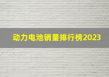 动力电池销量排行榜2023