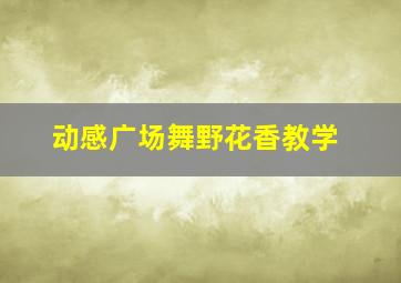 动感广场舞野花香教学