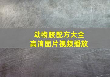 动物胶配方大全高清图片视频播放